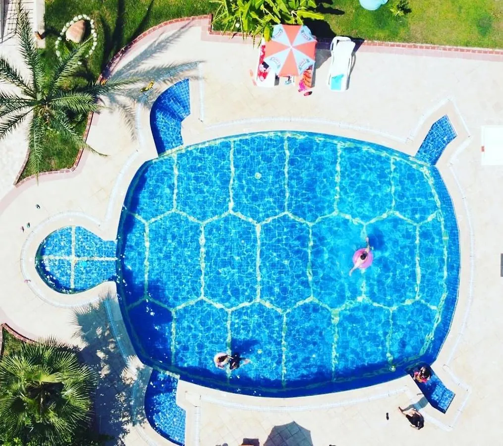 Turtle Apartments Cedit 0*,  Turkey
